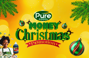 Image representing the promotion: Pure Money Christmas Promotion 2024